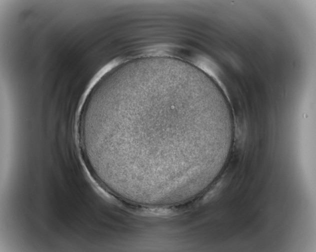 X0000086231090200704121911