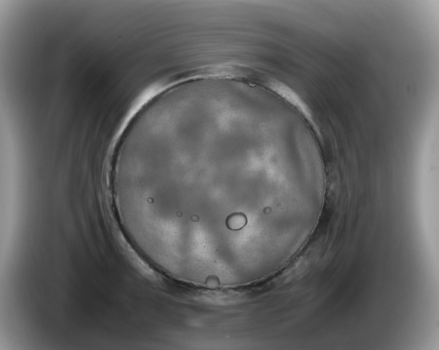 X0000086231091200704121911