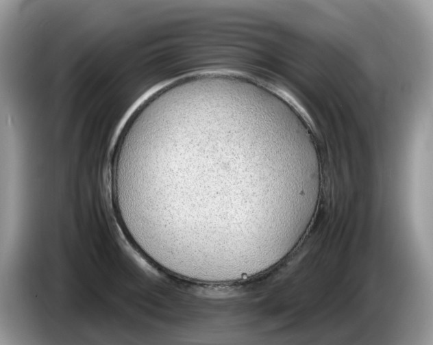 X0000086231092200704121911