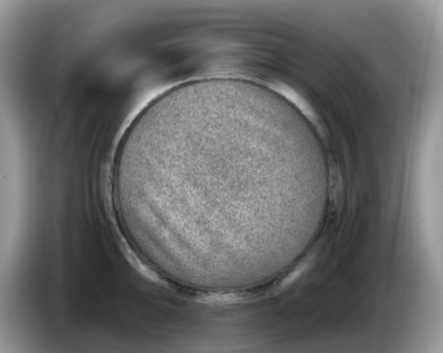 X0000086231094200704121911