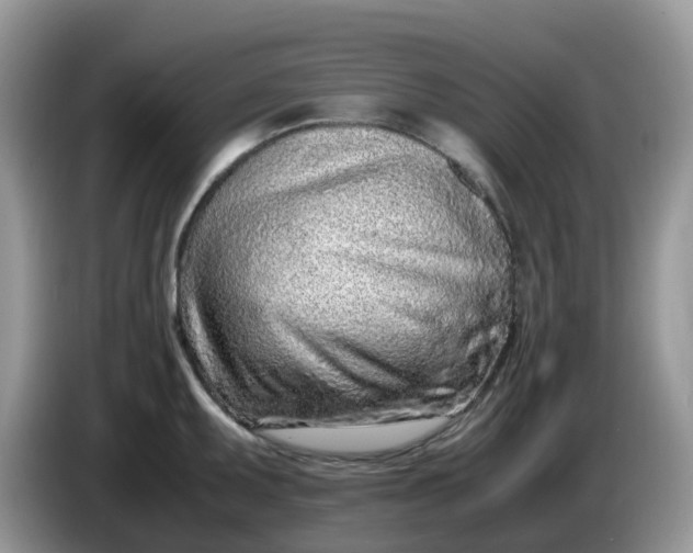 X0000086231095200704121911