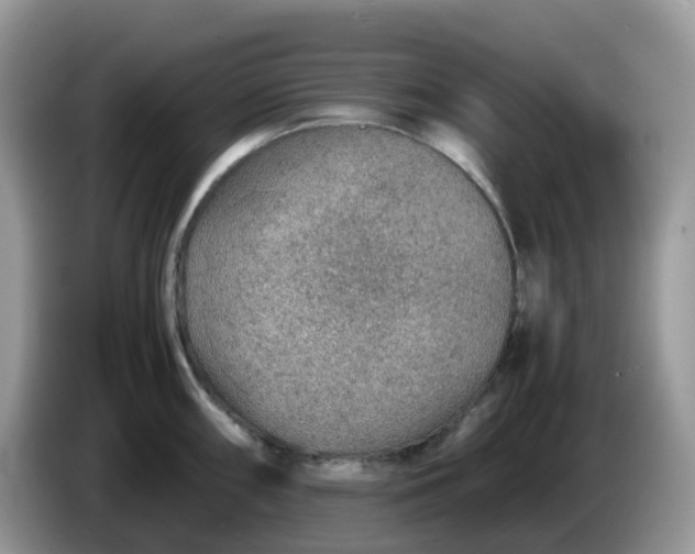 X0000086231098200704121910