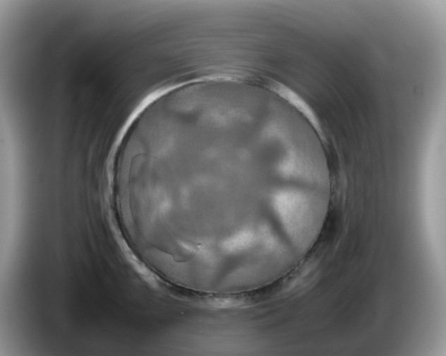 X0000086231099200704121910