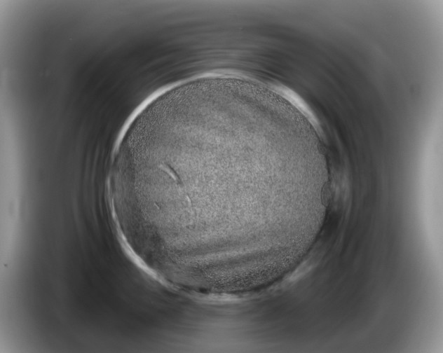 X0000086231100200704121910