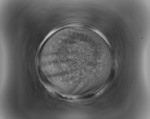 X0000086231101200704121910