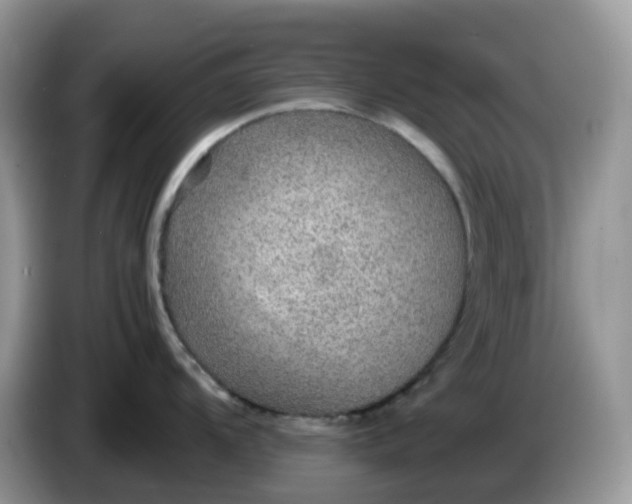 X0000086231104200704121910