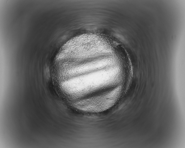 X0000086231106200704121910