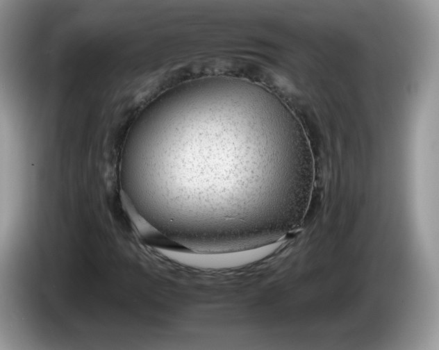 X0000086231109200704121910