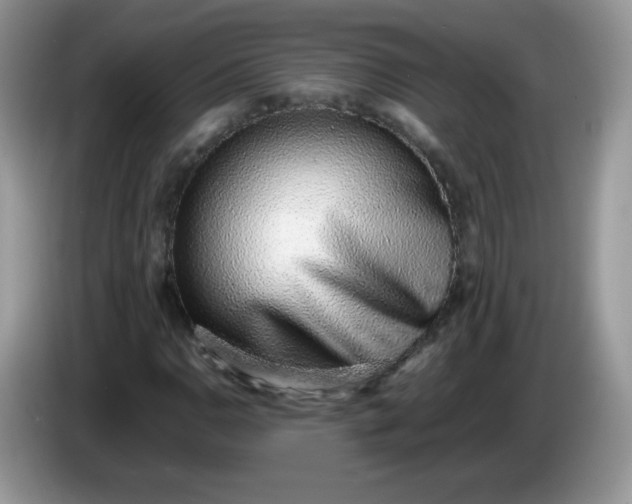 X0000086231110200704121910