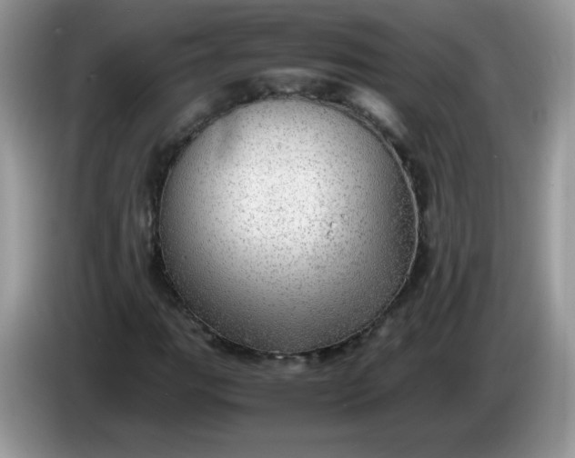 X0000086231111200704121910