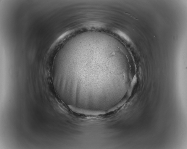 X0000086231112200704121910