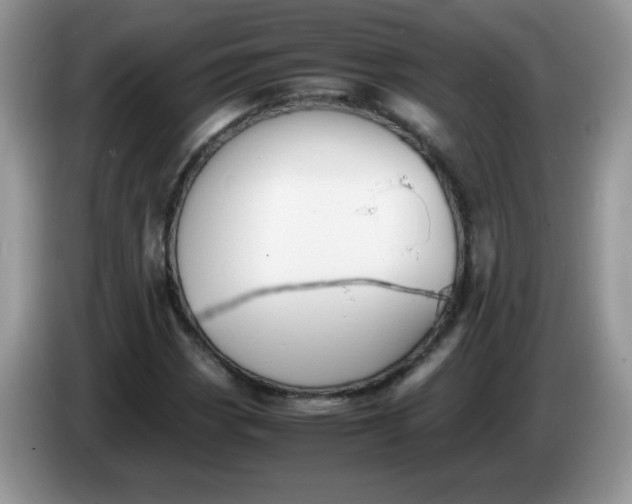 X0000086231113200704121910