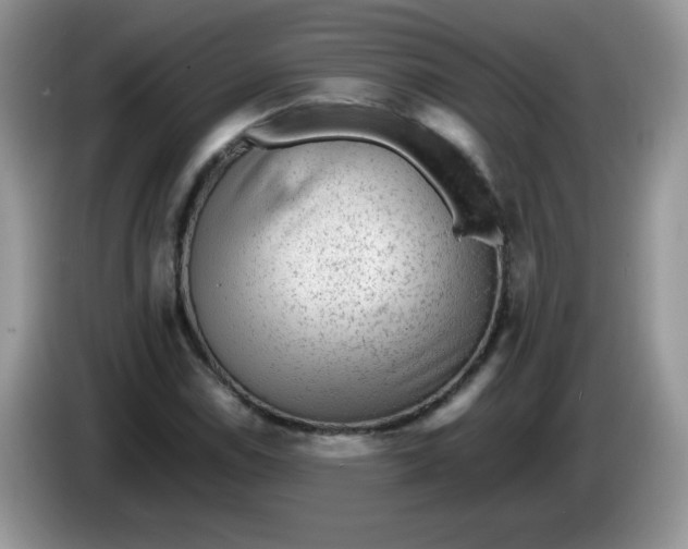 X0000086231114200704121910