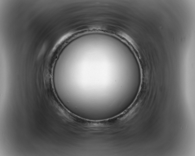 X0000086231115200704121910