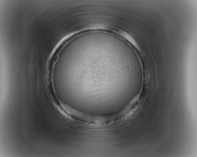 X0000086231116200704121910