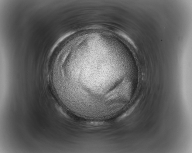 X0000086231117200704121910