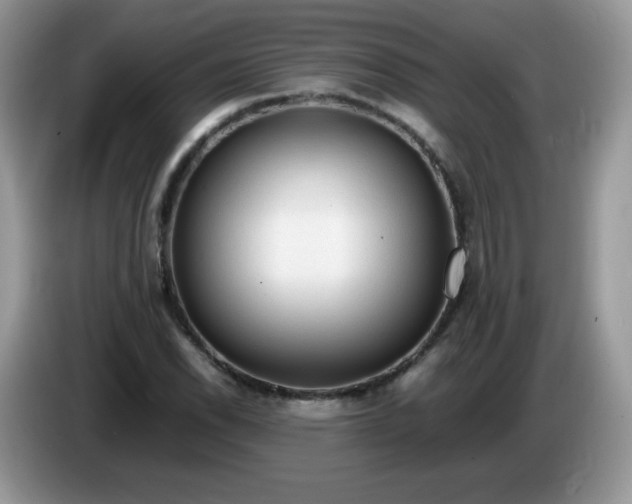 X0000086231118200704121910