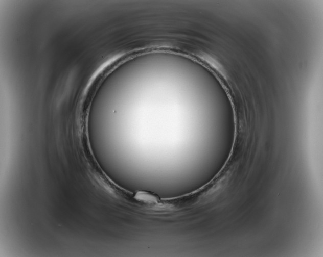 X0000086231119200704121910