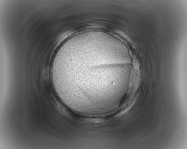 X0000086231121200704121910