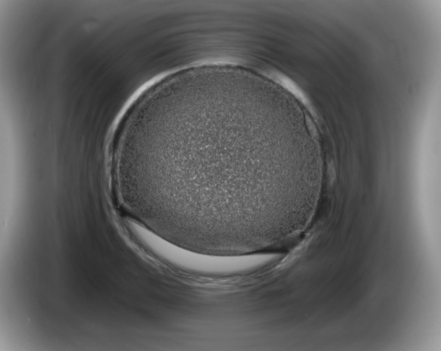 X0000086231124200704121910