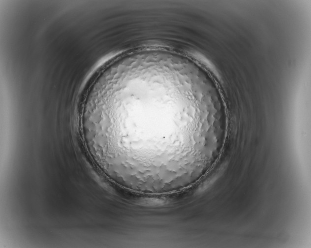 X0000086231125200704121910