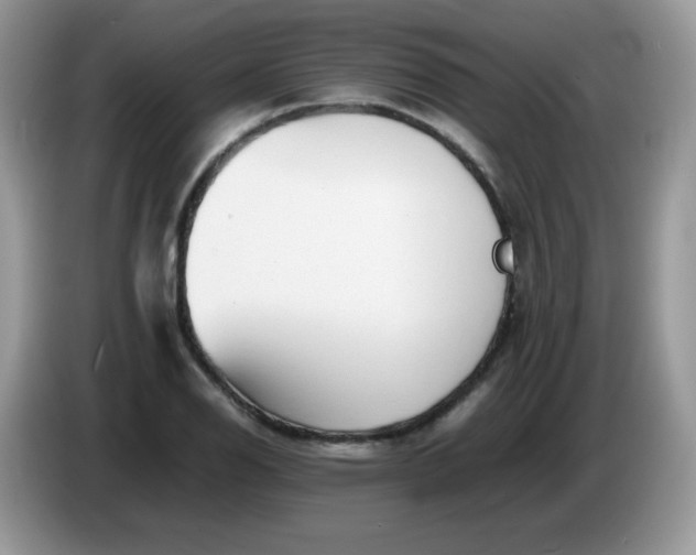 X0000086231126200704121910