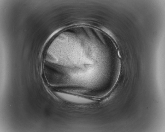 X0000086231127200704121910