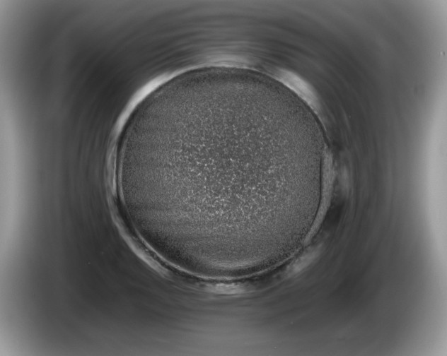 X0000086231128200704121910