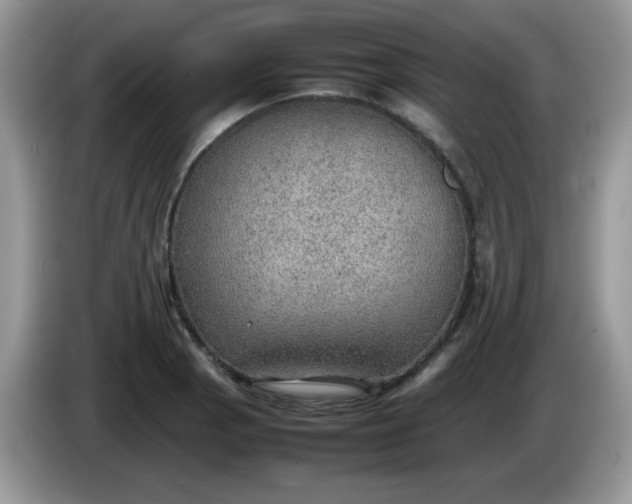 X0000086231129200704121910