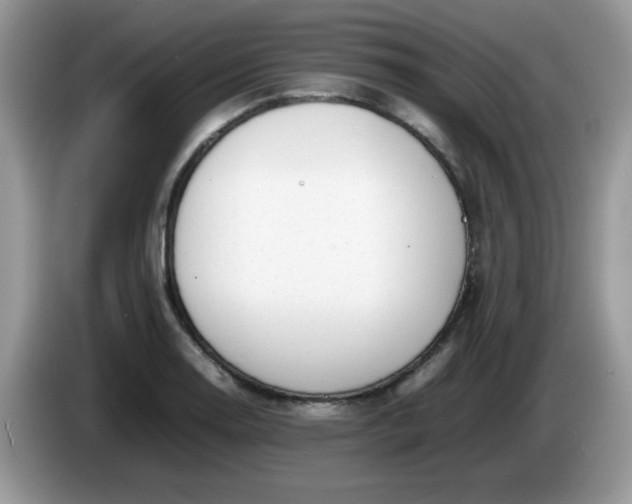 X0000086231130200704121910