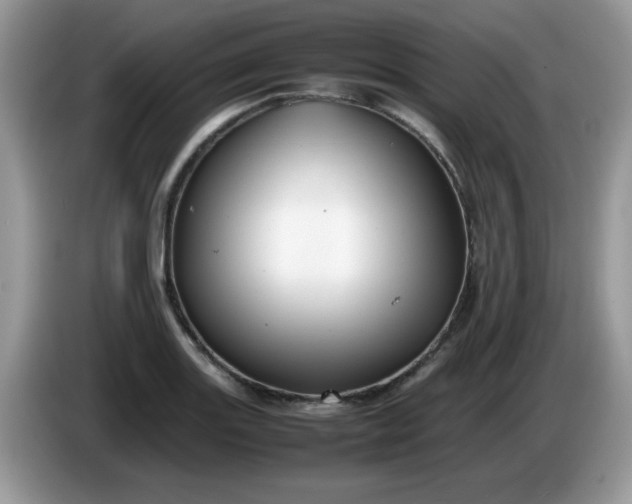 X0000086231131200704121910