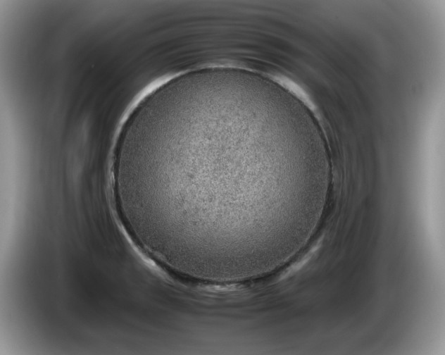 X0000086231133200704121910