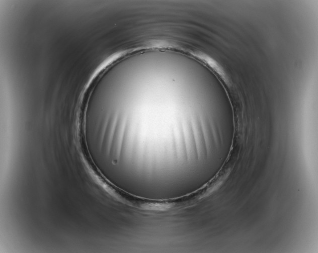 X0000086231134200704121910