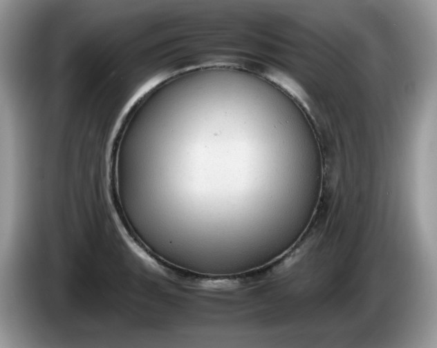 X0000086231135200704121910