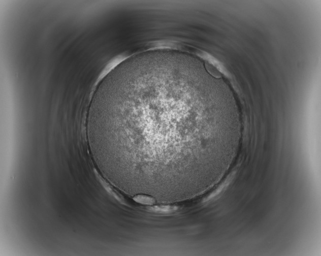 X0000086231137200704121910