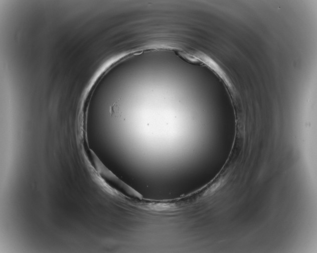 X0000086231140200704121910