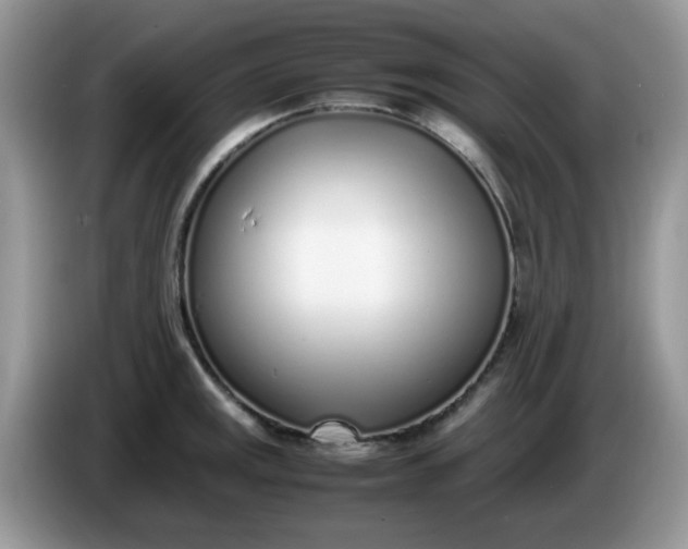 X0000086231141200704121910