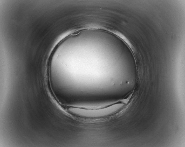 X0000086231142200704121910