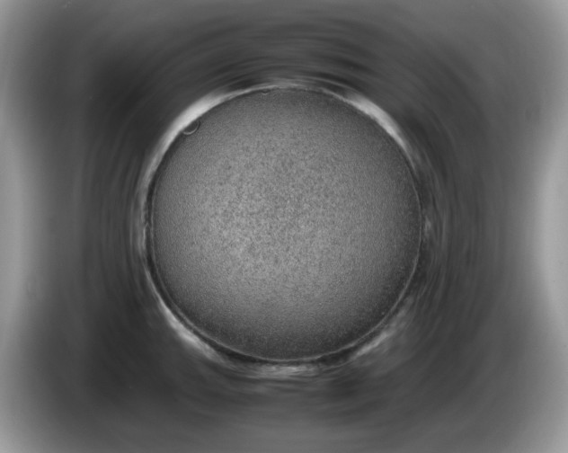 X0000086231143200704121910