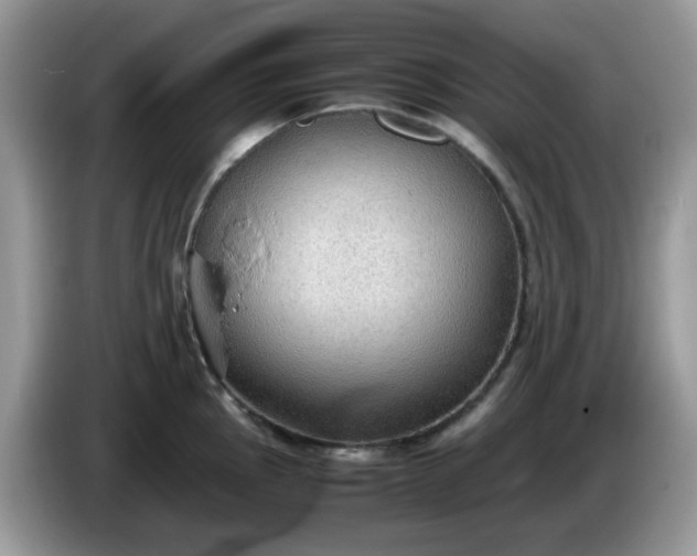 X0000086231145200704121910