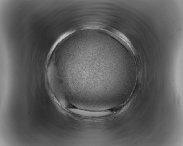 X0000086231146200704121910