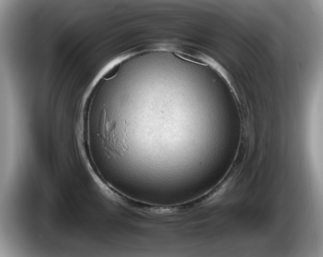 X0000086231147200704121910