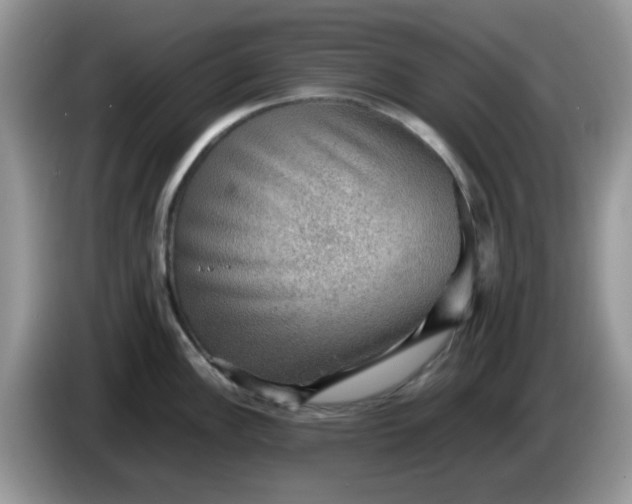 X0000086231148200704121910