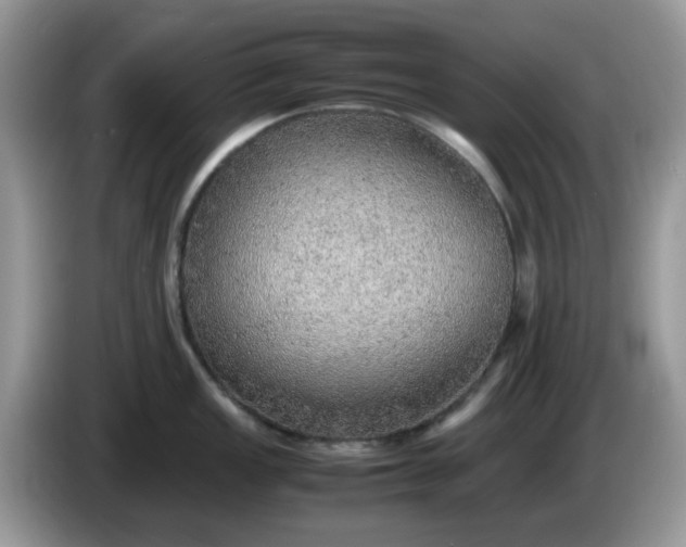 X0000086231149200704121910