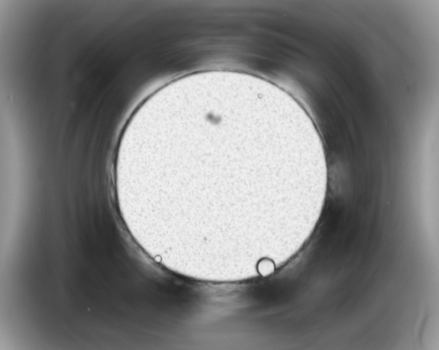 X0000086231150200704121910