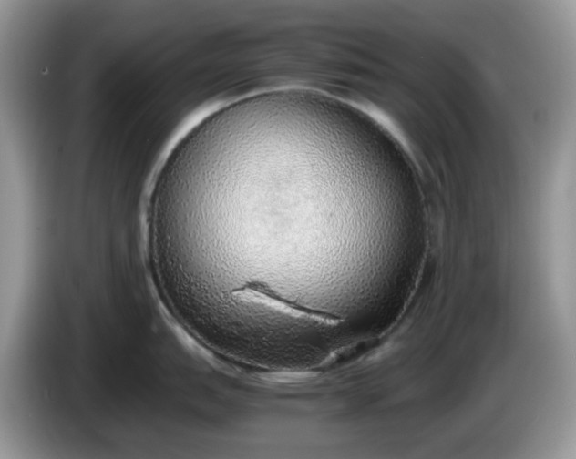 X0000086231151200704121910