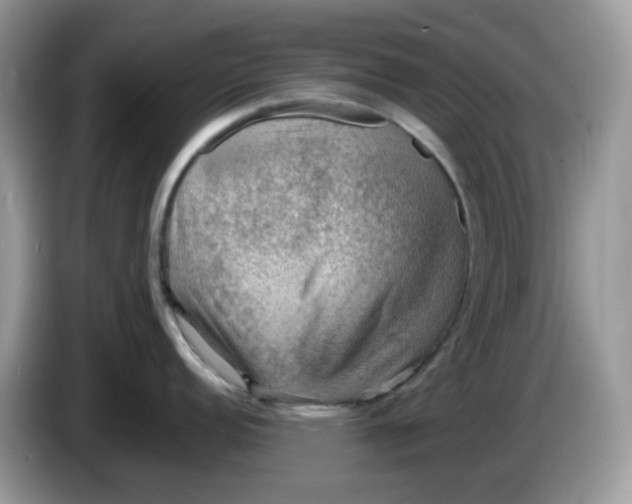 X0000086231152200704121910