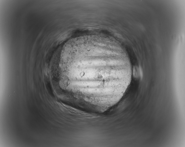 X0000086231155200704121910