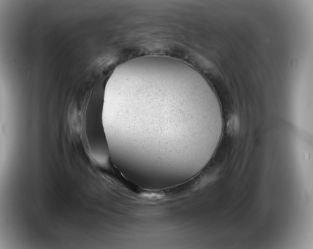 X0000086231156200704121910