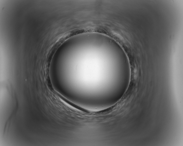 X0000086231157200704121910